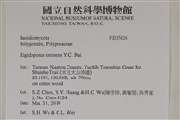 登錄號:F0035324藏品圖，第2張