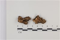 登錄號:F0035324藏品圖，第1張