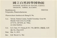 登錄號:F0035326藏品圖，第2張