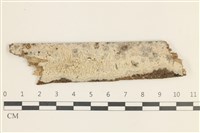 登錄號:F0035326藏品圖，第1張