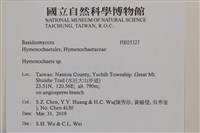刺革菌屬藏品圖，第2張