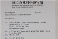 登錄號:F0035328藏品圖，第2張