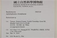登錄號:F0035329藏品圖，第2張
