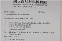 登錄號:F0035330藏品圖，第2張