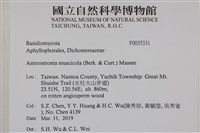 登錄號:F0035331藏品圖，第2張