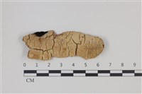 登錄號:F0035332藏品圖，第1張