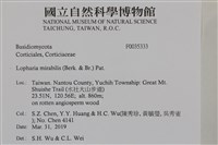 登錄號:F0035333藏品圖，第2張