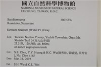 登錄號:F0035336藏品圖，第2張
