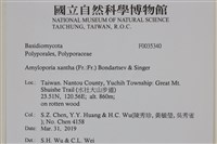 登錄號:F0035340藏品圖，第2張
