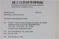 登錄號:F0035343藏品圖，第2張