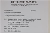 登錄號:F0035344藏品圖，第2張