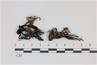 登錄號:F0035344藏品圖，第1張