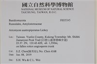 登錄號:F0035345藏品圖，第2張