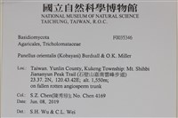 登錄號:F0035346藏品圖，第2張