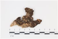 登錄號:F0035346藏品圖，第1張