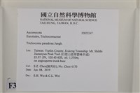 登錄號:F0035347藏品圖，第2張