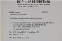 登錄號:F0035349藏品圖，第2張