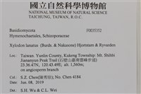 登錄號:F0035352藏品圖，第2張