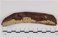 登錄號:F0035352藏品圖，第1張