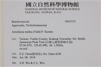 登錄號:F0035355藏品圖，第2張