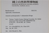 登錄號:F0035356藏品圖，第2張