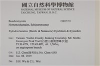 登錄號:F0035357藏品圖，第2張