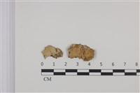 登錄號:F0035357藏品圖，第1張