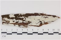 登錄號:F0035360藏品圖，第1張