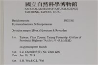 登錄號:F0035361藏品圖，第2張