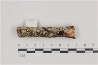 登錄號:F0035363藏品圖，第1張