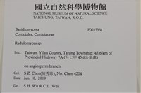 登錄號:F0035364藏品圖，第2張