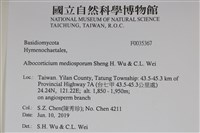 登錄號:F0035367藏品圖，第2張