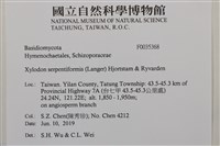 登錄號:F0035368藏品圖，第2張