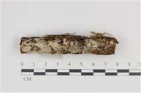 登錄號:F0035368藏品圖，第1張
