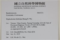 登錄號:F0035372藏品圖，第2張