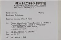 登錄號:F0035373藏品圖，第2張