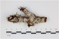 登錄號:F0035373藏品圖，第1張