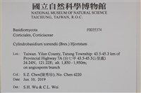 登錄號:F0035374藏品圖，第2張