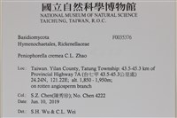 登錄號:F0035376藏品圖，第2張