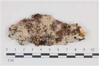 登錄號:F0035376藏品圖，第1張