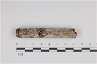 登錄號:F0035378藏品圖，第1張