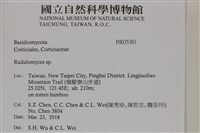 登錄號:F0035381藏品圖，第2張