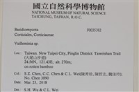 登錄號:F0035382藏品圖，第2張
