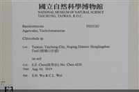 登錄號:F0035383藏品圖，第2張