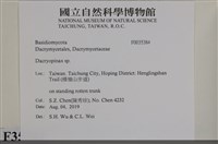 登錄號:F0035384藏品圖，第2張