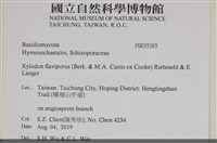 館號:F0035385藏品圖，第2張