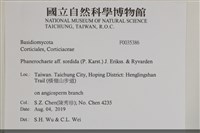 登錄號:F0035386藏品圖，第2張