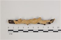登錄號:F0035386藏品圖，第1張