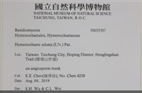登錄號:F0035387藏品圖，第2張
