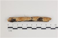 登錄號:F0035388藏品圖，第1張